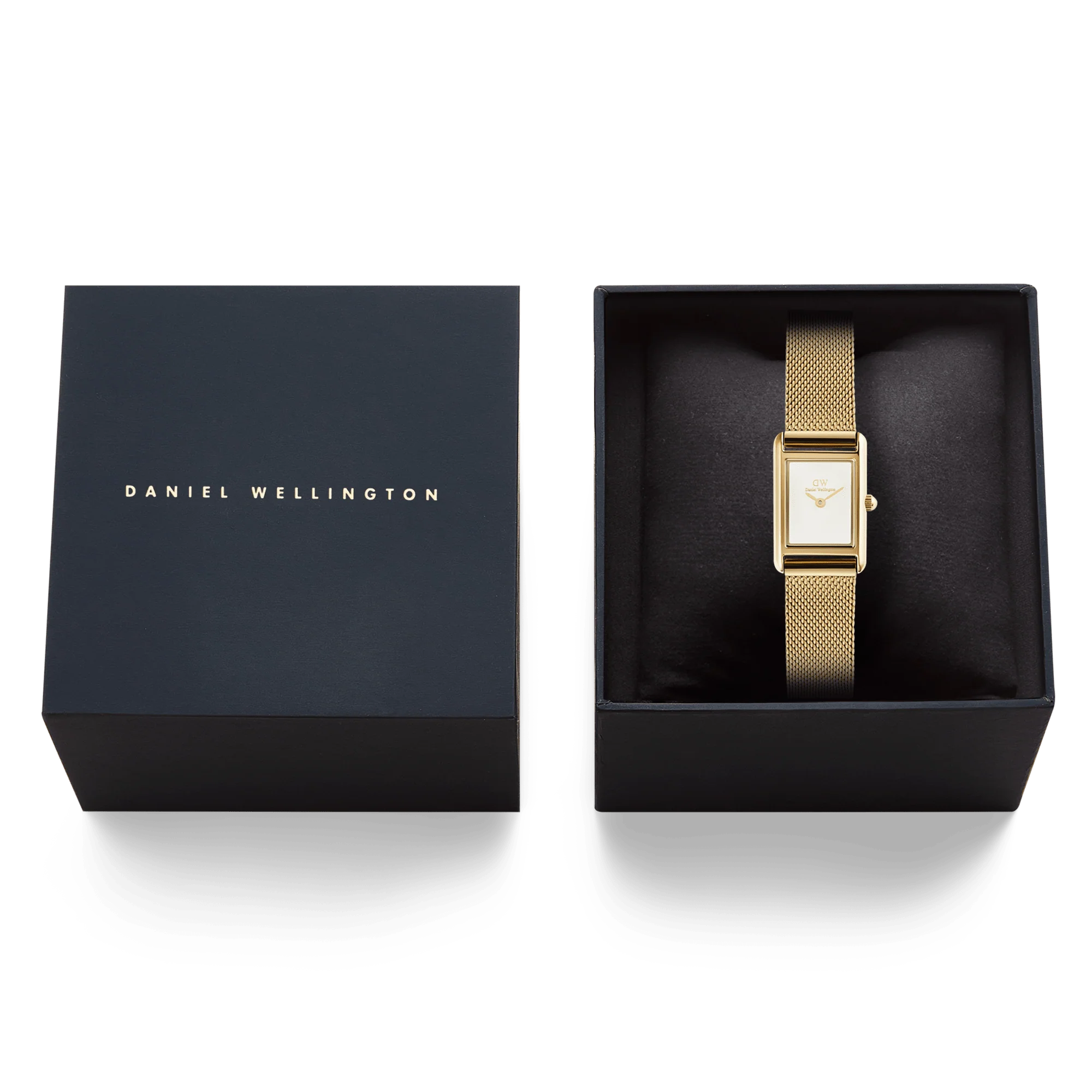 Bound Mini Evergold - Image 6