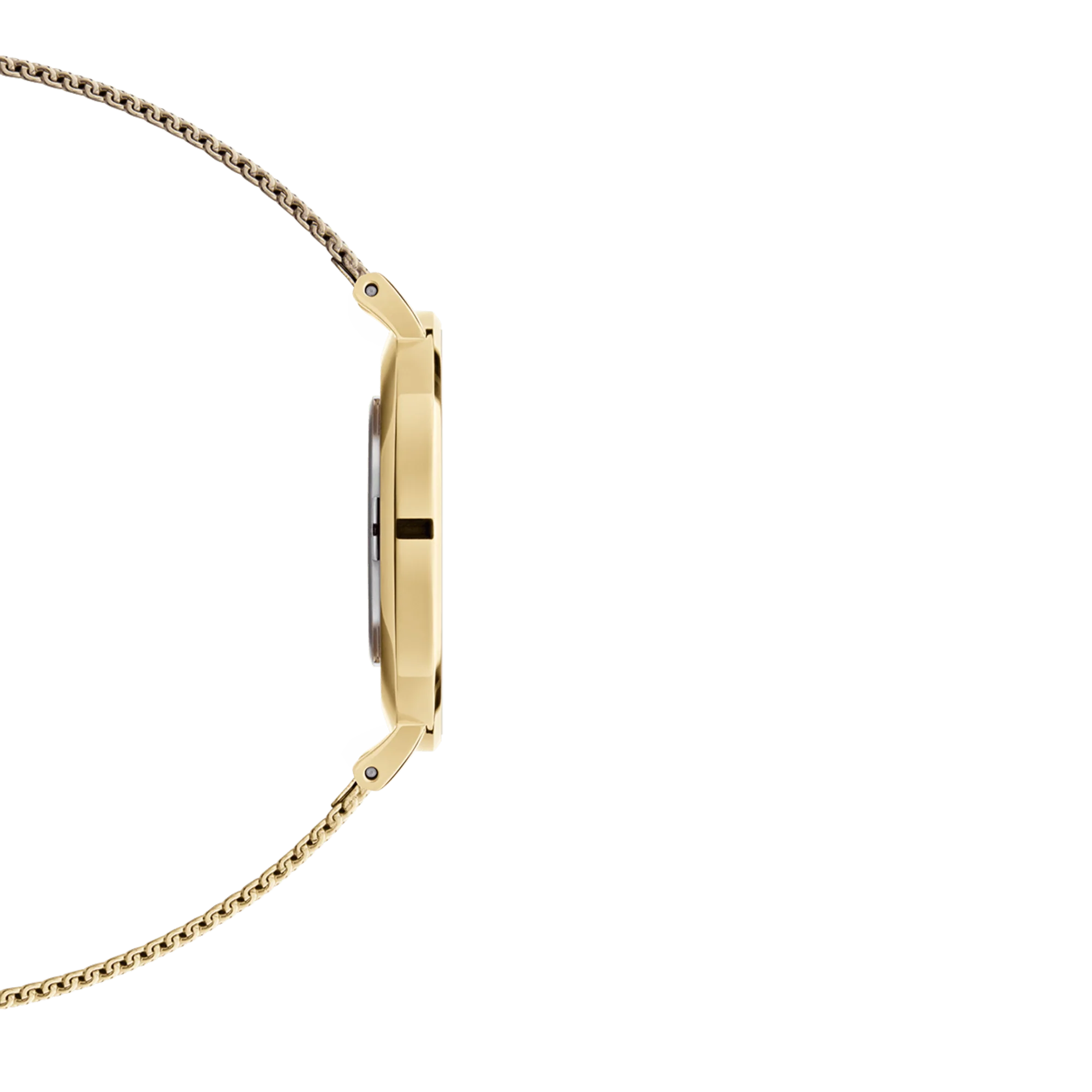 Petite Evergold - Image 3